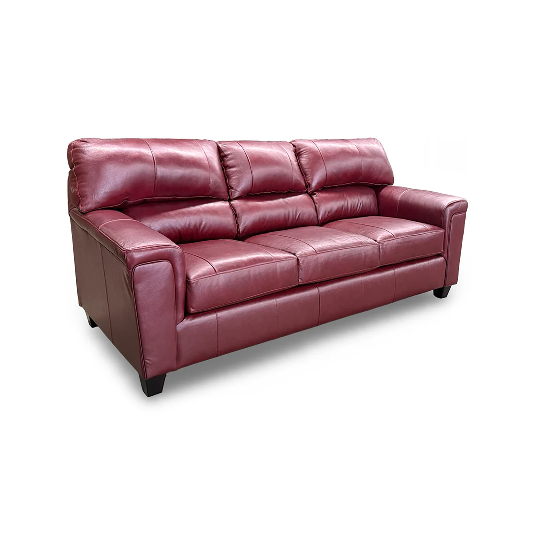Lacey Leather Sofa and Loveseat - Image 4