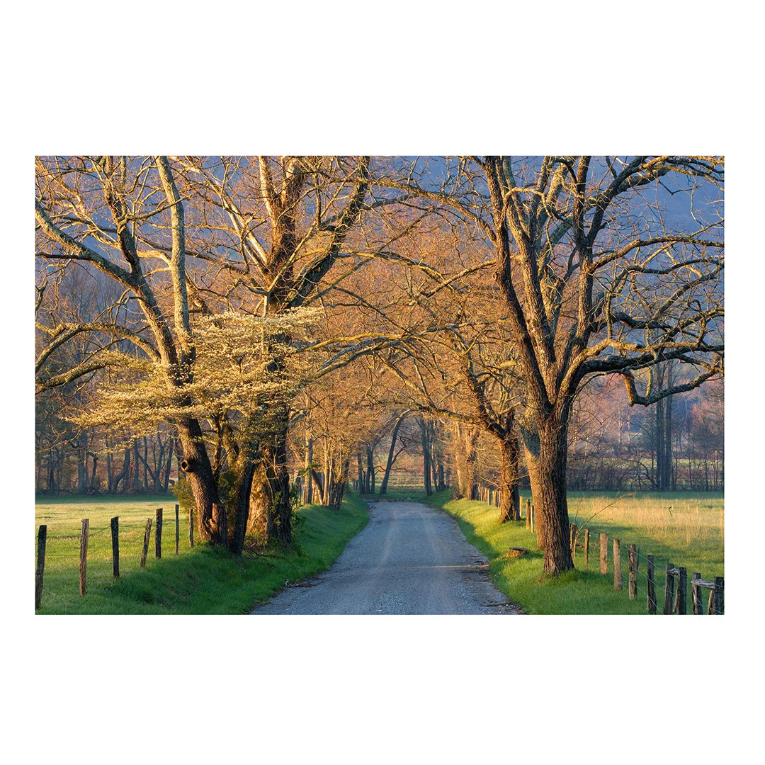 Sunset Path